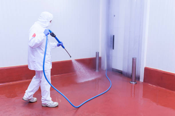 Trusted Hamtramck, MI Pressure Washing Services Experts